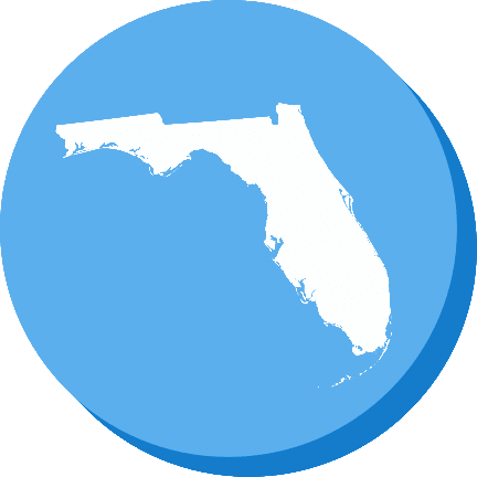 florida social studies standards financial literacy strand