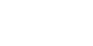 small Wall Street Survivor logo